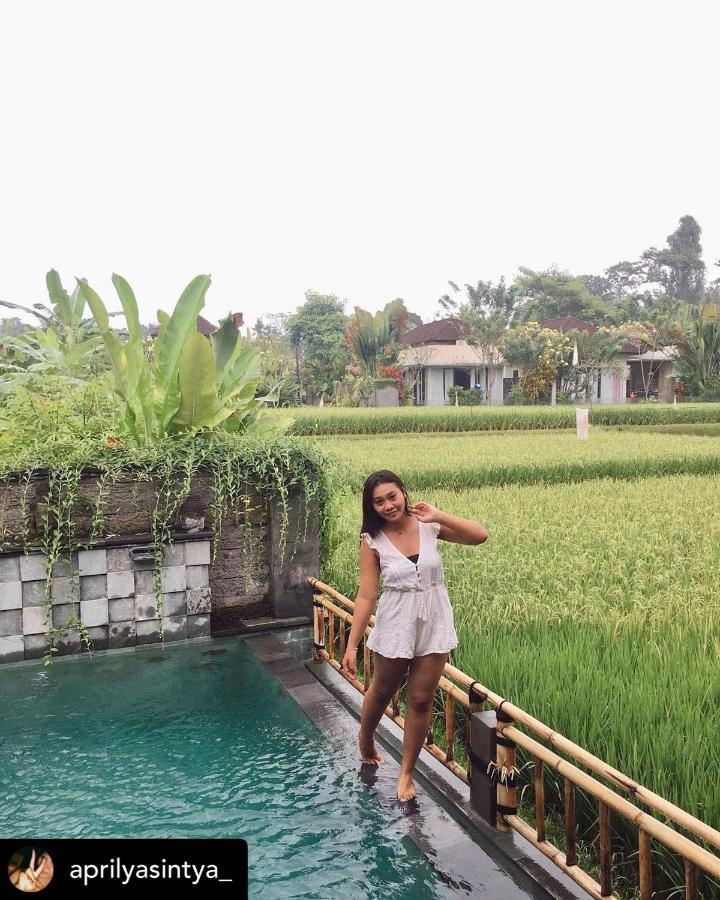 Nirankara Private Pool Villa - By Ubud Paradise Dış mekan fotoğraf