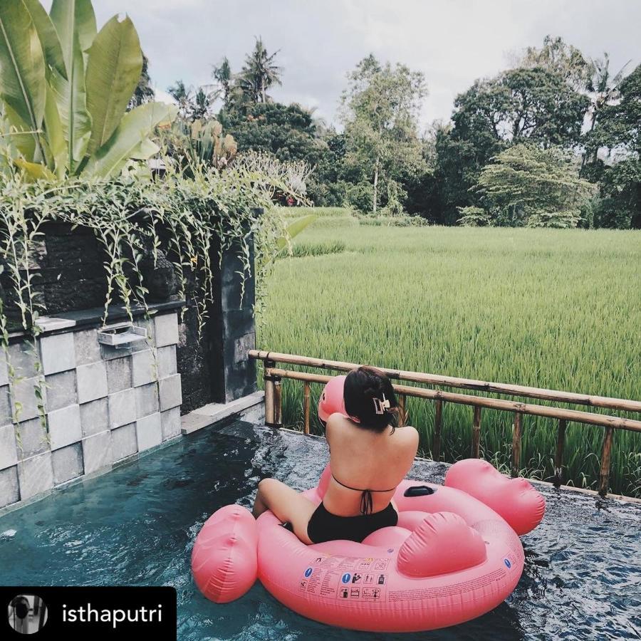 Nirankara Private Pool Villa - By Ubud Paradise Dış mekan fotoğraf